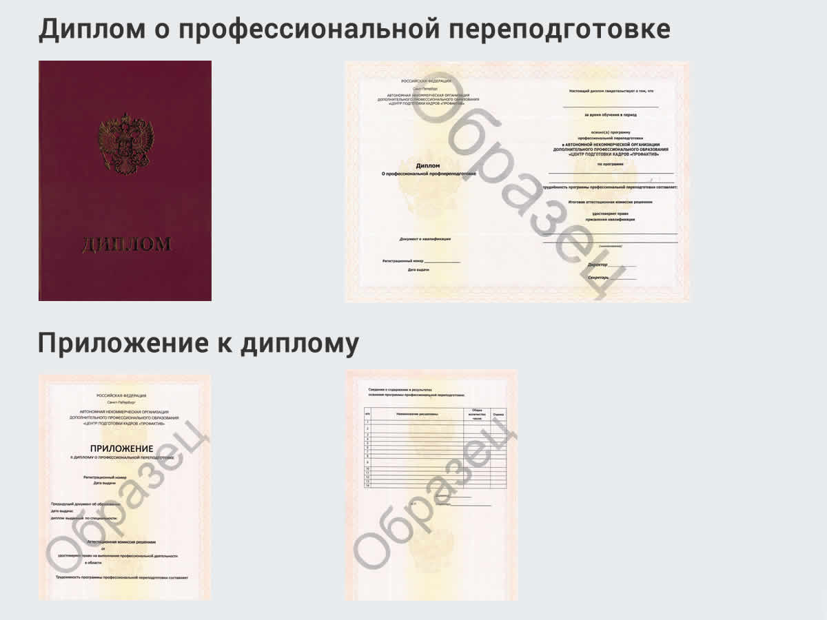  Профессиональная переподготовка по направлению «Нефтегазовое дело» в Тавде